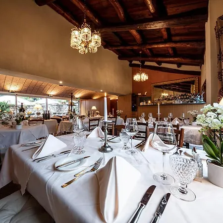 Swiss Historic & Garten Hotel Villa Carona-2